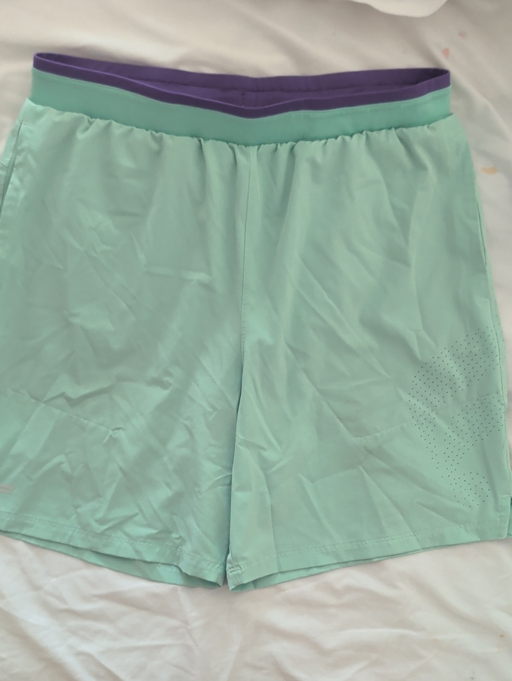 Men’s Fundamental Athletic Shorts In Mint Green with Purple Waistband